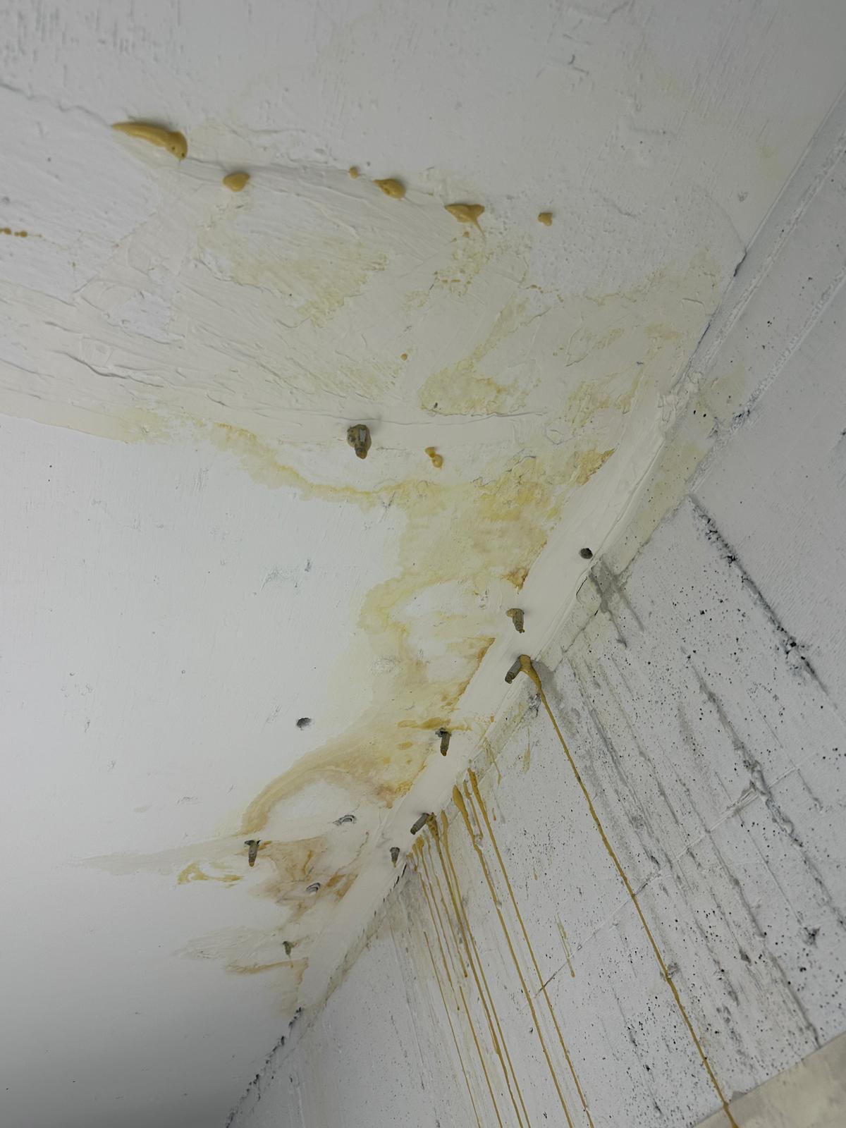 泥水及防水工程